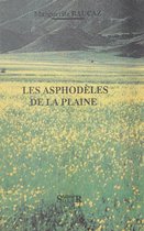 Les asphodèles de la plaine