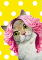 Poster Happy Cat Poezenposter