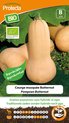 Protecta Groente zaden: Pompoen Butternut Biologisch