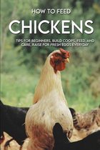 How To Feed Chickens: Tips For Beginners, Build Coops, Feed, And Care, Raise For Fresh Eggs Everyday