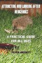 Attracting & Looking After Hedgehogs