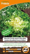 Protecta Groente zaden: Andijvie Breedblad Groene Volhart