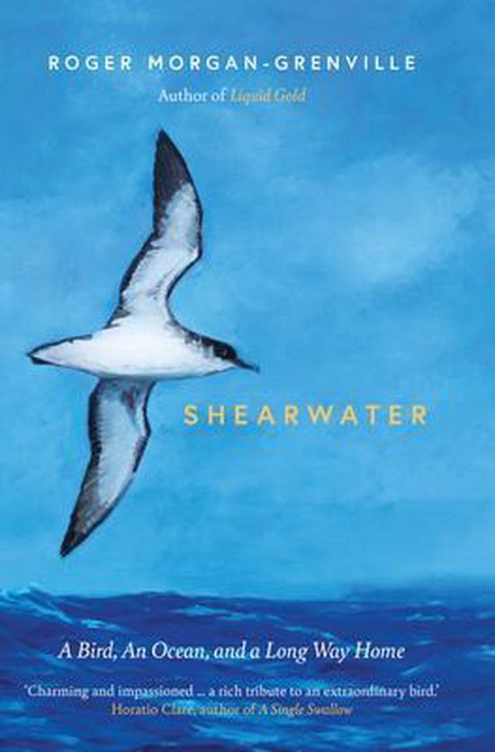 Shearwater - cover