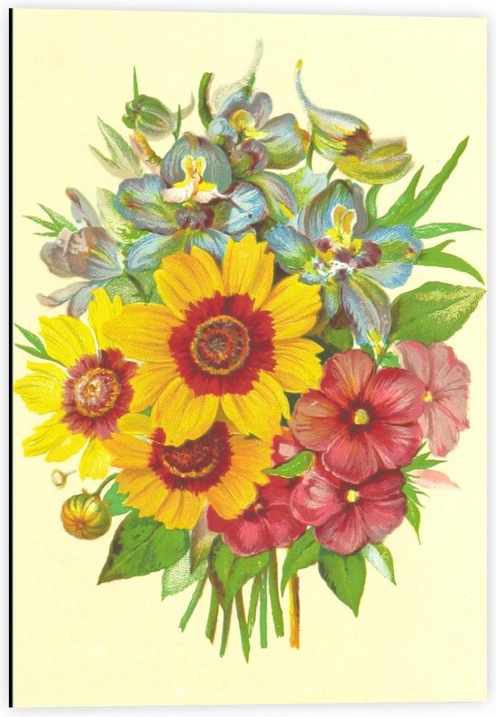 Dibond - Schilderij van Mooie Gekleurde Bloemen - 40x60cm Foto op Aluminium (Met Ophangsysteem)