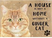 Metalen Wandbord a House is not a home without a Ginger Cat - 20 x 30 cm