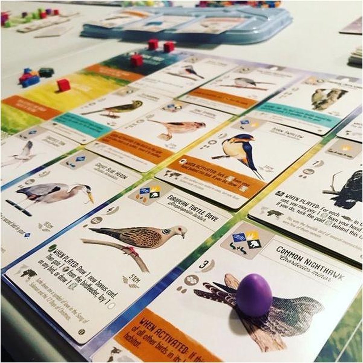 Asmodee Wingspan European expansion Bordspel thumbnail 3