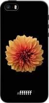 iPhone 5s Hoesje TPU Case - Butterscotch Blossom #ffffff