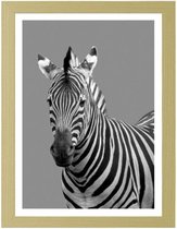 Foto in frame , Zebra , 3 maten , Zwart wit, wanddecoratie , Premium print