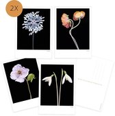 Ansichtkaarten set  bloemen - zonder tekst - Black Edition- botanisch wenskaart 8 stuks - A6 formaat - Rijkvol - verjaardag - condoleance - zomaar -