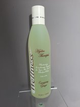 geur voor jacuzzi - spa- bubbelbad 245 ml gember