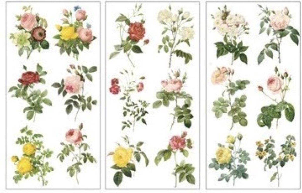 Stickerset Rozen - 6 vellen - Stickers Roses