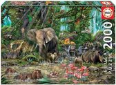 Puzzel Educa 2000 : Afrikaanse Jungle