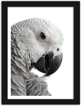 Foto in frame ,  Papegaai , 3 maten , Zwart wit , wanddecoratie , Premium print