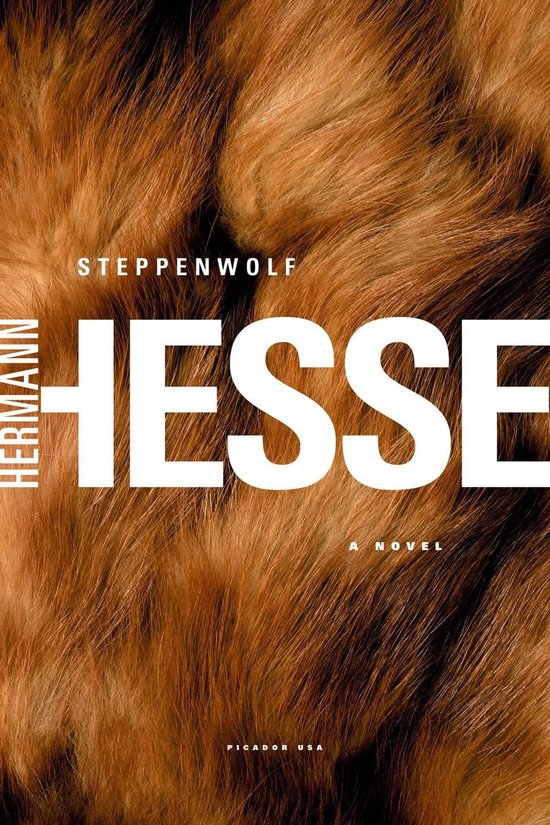 Steppenwolf - cover