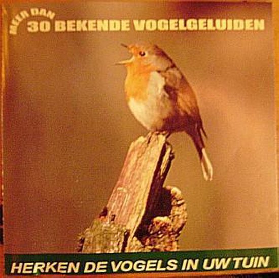 Herken De Vogels In Uw Tuin Meer Dan 30 Bekende