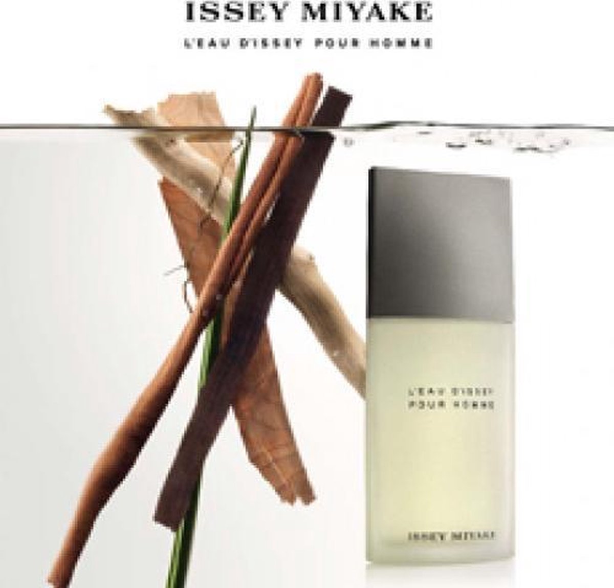 Issey Miyake L'Eau d'Issey pour Homme - 125 ml - eau de toilette spray - herenparfum