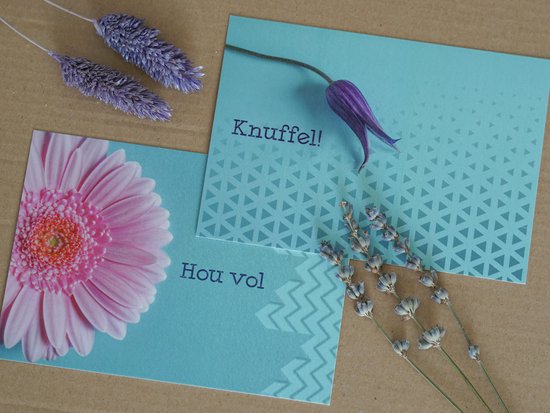 Steuntje in de rug-wenskaarten (beterschapskaarten)