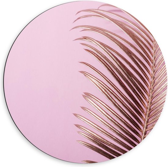 Dibond Wandcirkel - Zilveren Veer op Roze Achtergrond - 60x60cm Foto op Aluminium Wandcirkel (met ophangsysteem)