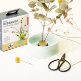 Kikkerland Mini Ikebana Set