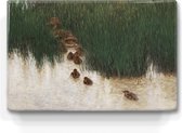 Peinture sur bois - Famille de canards dans les roseaux - Bruno Liljefors - 30 x 19,5 cm - Tirage laque - Chef-d'œuvre verni à la main à exposer ou à accrocher