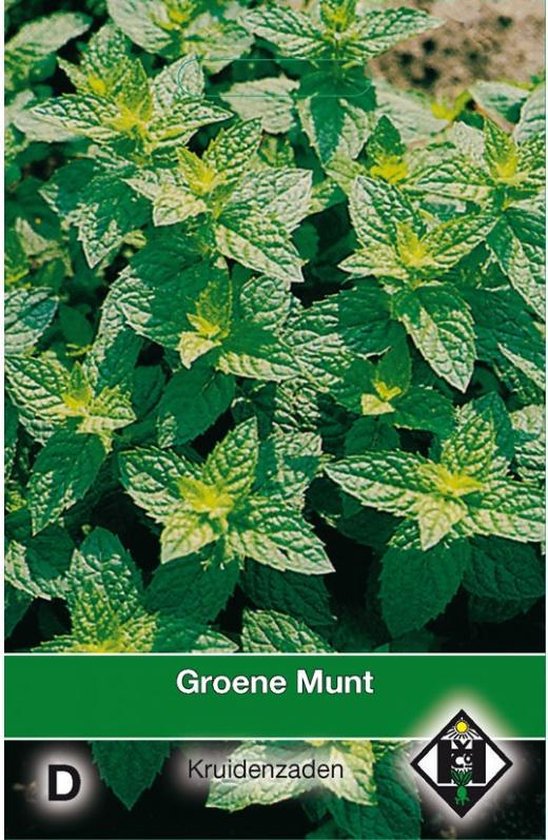 Van Hemert - Groene Munt Zaden (Mentha spicata)