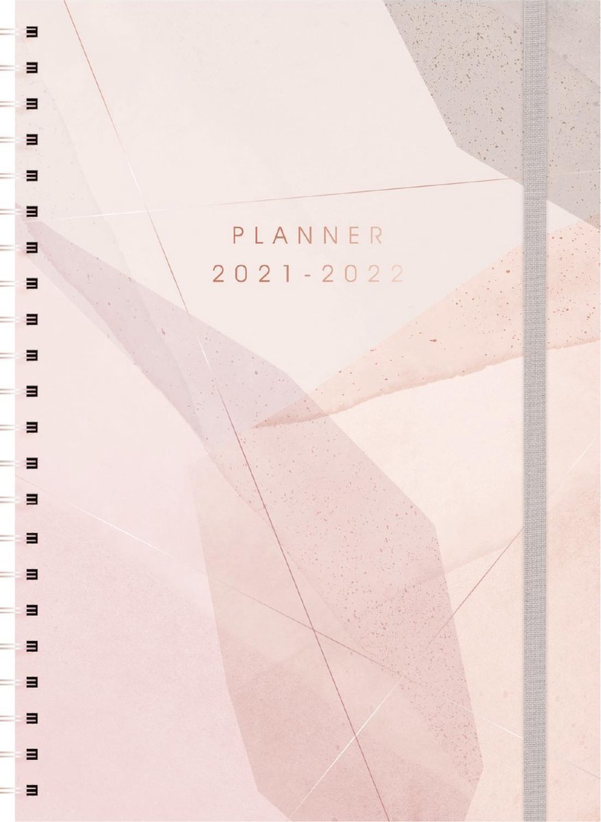 Hobbit - Agenda - Geometrische lijnen van goudfolie - 2021/2022 - week per 2 pagina's - A4 - Groot -