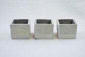 bloempotje, sober, stoer, met licht grijze rand - beton: 6 x 7,5 x 7,5 cm - set van 3 stuks