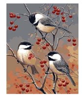Schilderen op nummer Vogeltjes in een boom 40x50