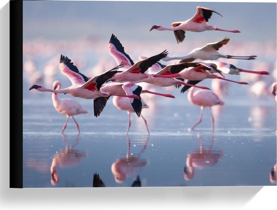 Canvas  - Groep Flamingo's bij het Water - 40x30cm Foto op Canvas Schilderij (Wanddecoratie op Canvas)