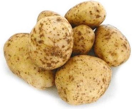 Pootaardappel Bintje – zakje 1kg