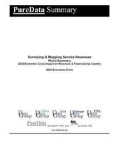 Surveying & Mapping Service Revenues World Summary