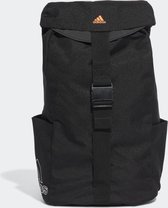 Adidas Standards Flap Backpack