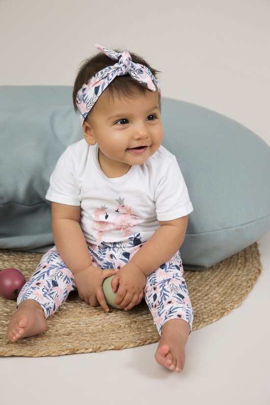 Bol Com Dirkje E Kiss Kiss Let S Flamingle Baby Meisjes 2 Pce Kledingset Maat 56