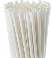 Doodadeals® Witte Papieren Rietjes - 25 stuks - 20 cm - Kartonnen Rietjes - Paper Straws