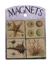 Magneetjes Schelp-Koraal (set van 4) 4,5x1x4,5cm