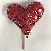 Steker hart rood 7,5cm/14cm 24 stuks in verpakking