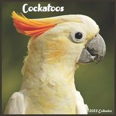 Cockatoos 2022 Calendar