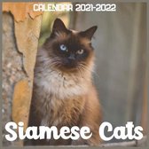 Siamese Cats Calendar 2021-2022