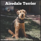 Airedale Terrier 2022 Calendar
