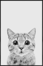 JUNIQE - Poster met kunststof lijst Kitten Classic -13x18 /Wit & Zwart