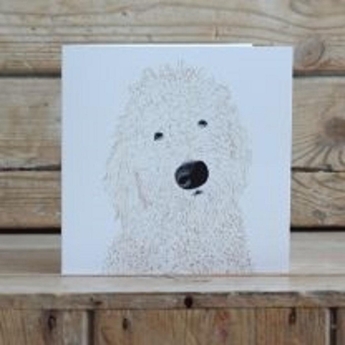 Kaart Labradoodle 15x15cm