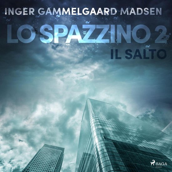 Lo spazzino 2: Il salto - cover