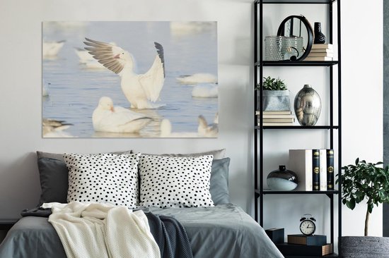 Oie des neiges vole hors de l'eau Toile 140x90 cm - Tirage photo sur toile (Décoration murale salon / chambre)