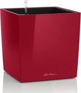 Lechuza CUBE Premium 50 rouge écarlate brillant