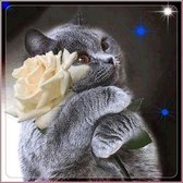 Diamond painting 40 x 50 cm - poes met roos