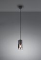 TRIO ROBIN Hanglamp - Zwart - excl. 1x E27 28W - IP20