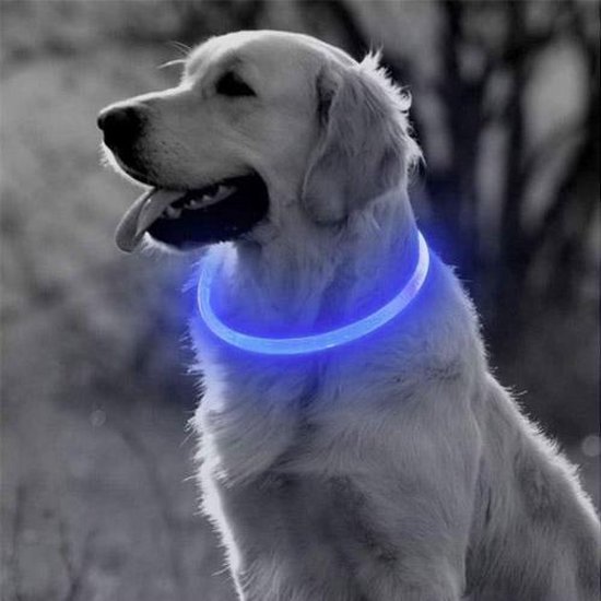 Lichtgevende halsband hond blauw | LED honden halsband LED |  USB oplaadbaar | 70 cm - Merkloos