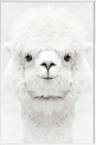 JUNIQE - Poster in kunststof lijst Lachende Alpaca -40x60 /Wit