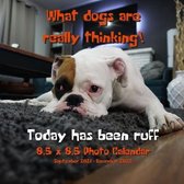 What Dogs Are Really Thinking! 8.5 X 8.5 Calendar September 2021 -December 2022: Today Has Been Ruff - Humorous Dog Calendar - Funny Dog Gift for Dog