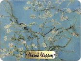 Memoriez 2D Magneet Blossom Van Gogh